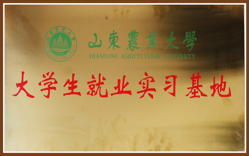 CC网投·(中国游)官方网站