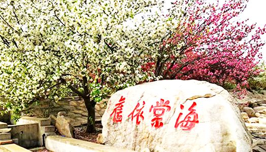 CC网投·(中国游)官方网站