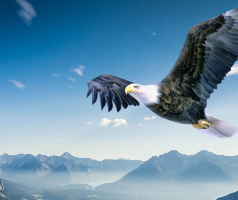 CC网投·(中国游)官方网站