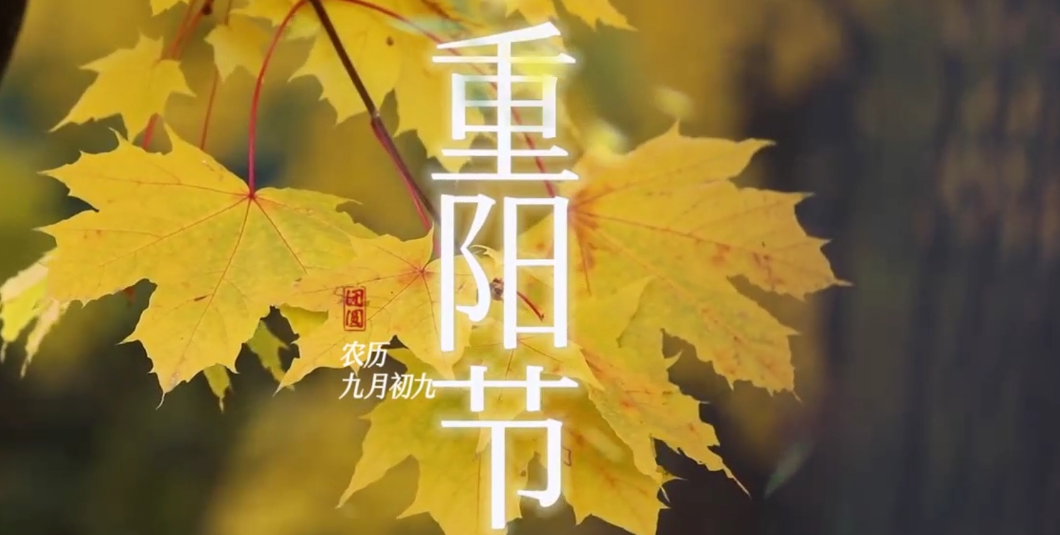 CC网投·(中国游)官方网站