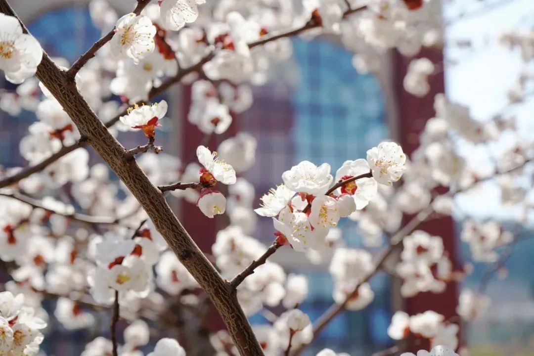 CC网投·(中国游)官方网站