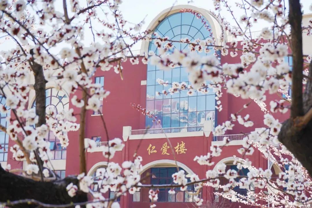 CC网投·(中国游)官方网站