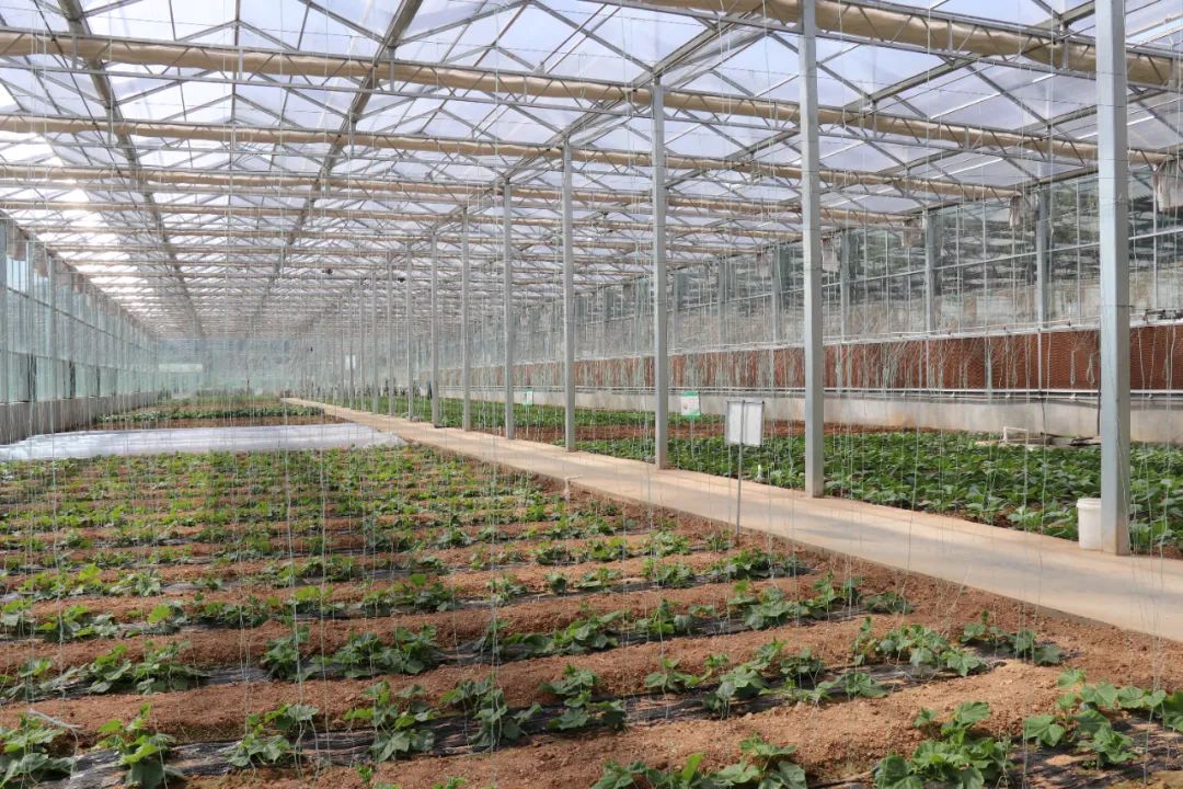 CC网投·(中国游)官方网站